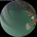 ./images/calvert/underwater/20260623/underwater20260623_220501M.jpg