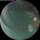 ./images/calvert/underwater/20260623/underwater20260623_221001M.jpg