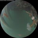 ./images/calvert/underwater/20260623/underwater20260623_222001M.jpg