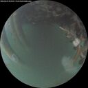 ./images/calvert/underwater/20260623/underwater20260623_222501M.jpg