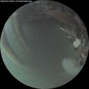 ./images/calvert/underwater/20260623/underwater20260623_223001M.jpg