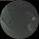 ./images/calvert/underwater/20260623/underwater20260623_224001M.jpg