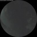 ./images/calvert/underwater/20260624/underwater20260624_042002M.jpg