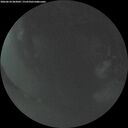 ./images/calvert/underwater/20260624/underwater20260624_043001M.jpg