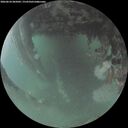 ./images/calvert/underwater/20260624/underwater20260624_045002M.jpg