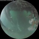 ./images/calvert/underwater/20260624/underwater20260624_045501M.jpg
