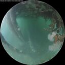 ./images/calvert/underwater/20260624/underwater20260624_051001M.jpg