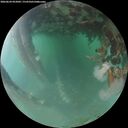 ./images/calvert/underwater/20260624/underwater20260624_052002M.jpg