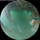 ./images/calvert/underwater/20260624/underwater20260624_052501M.jpg