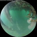 ./images/calvert/underwater/20260624/underwater20260624_053501M.jpg