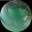 ./images/calvert/underwater/20260624/underwater20260624_054001M.jpg
