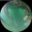 ./images/calvert/underwater/20260624/underwater20260624_054501M.jpg