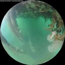 ./images/calvert/underwater/20260624/underwater20260624_055001M.jpg