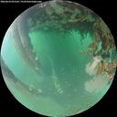 ./images/calvert/underwater/20260624/underwater20260624_055501M.jpg