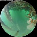 ./images/calvert/underwater/20260624/underwater20260624_060001M.jpg