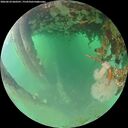 ./images/calvert/underwater/20260624/underwater20260624_060501M.jpg