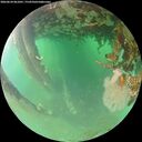 ./images/calvert/underwater/20260624/underwater20260624_061001M.jpg