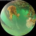 ./images/calvert/underwater/20260624/underwater20260624_061502M.jpg