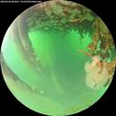./images/calvert/underwater/20260624/underwater20260624_063001M.jpg
