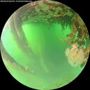 ./images/calvert/underwater/20260624/underwater20260624_063501M.jpg