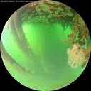 ./images/calvert/underwater/20260624/underwater20260624_064001M.jpg