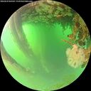 ./images/calvert/underwater/20260624/underwater20260624_064502M.jpg