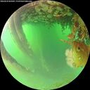 ./images/calvert/underwater/20260624/underwater20260624_065002M.jpg
