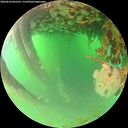 ./images/calvert/underwater/20260624/underwater20260624_065501M.jpg
