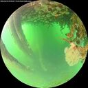 ./images/calvert/underwater/20260624/underwater20260624_070502M.jpg