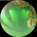 ./images/calvert/underwater/20260624/underwater20260624_071501M.jpg