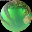 ./images/calvert/underwater/20260624/underwater20260624_073002M.jpg
