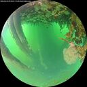 ./images/calvert/underwater/20260624/underwater20260624_073501M.jpg