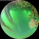 ./images/calvert/underwater/20260624/underwater20260624_074001M.jpg