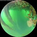 ./images/calvert/underwater/20260624/underwater20260624_074501M.jpg