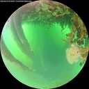 ./images/calvert/underwater/20260624/underwater20260624_075002M.jpg