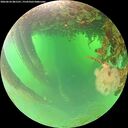 ./images/calvert/underwater/20260624/underwater20260624_081501M.jpg