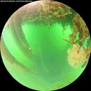 ./images/calvert/underwater/20260624/underwater20260624_083001M.jpg