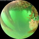 ./images/calvert/underwater/20260624/underwater20260624_084001M.jpg