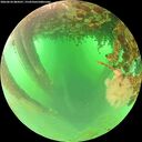 ./images/calvert/underwater/20260624/underwater20260624_084501M.jpg