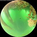 ./images/calvert/underwater/20260624/underwater20260624_085002M.jpg