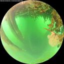 ./images/calvert/underwater/20260624/underwater20260624_085501M.jpg
