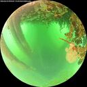 ./images/calvert/underwater/20260624/underwater20260624_090501M.jpg
