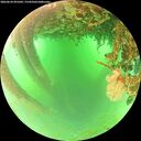 ./images/calvert/underwater/20260624/underwater20260624_091001M.jpg