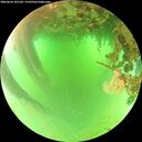 ./images/calvert/underwater/20260624/underwater20260624_101502M.jpg