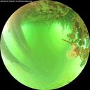 ./images/calvert/underwater/20260624/underwater20260624_102001M.jpg