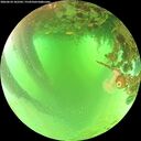 ./images/calvert/underwater/20260624/underwater20260624_102501M.jpg