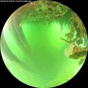 ./images/calvert/underwater/20260624/underwater20260624_103001M.jpg
