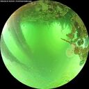 ./images/calvert/underwater/20260624/underwater20260624_103501M.jpg