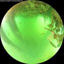 ./images/calvert/underwater/20260624/underwater20260624_104001M.jpg