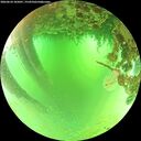 ./images/calvert/underwater/20260624/underwater20260624_105001M.jpg